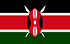 TGM Panel - Khảo sát online nhận tiền nhanh ở Kenya