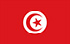TGM Panel - Làm khảo sát để kiếm tiền ở Tunisia